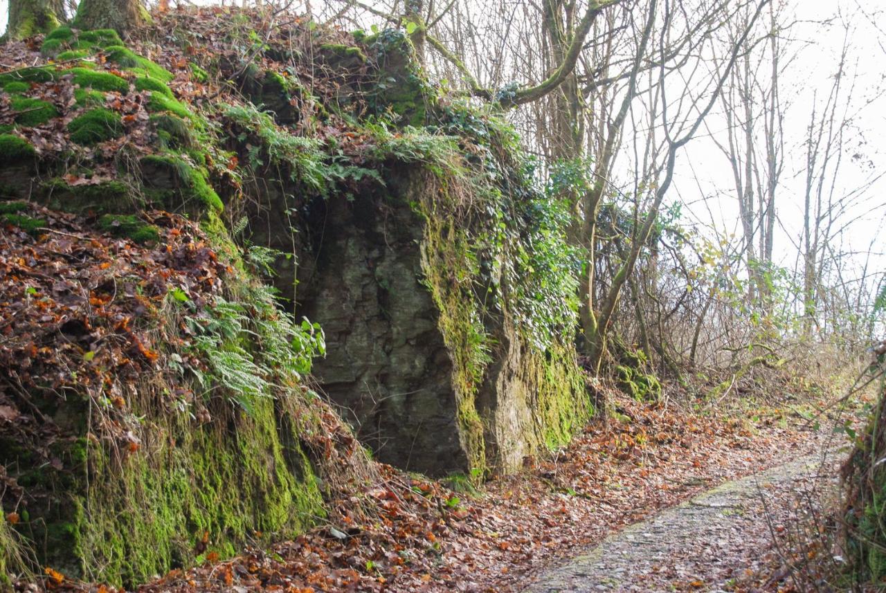 Gaestehaus An Der Moseltherme トラーベン・トラールバッハ エクステリア 写真